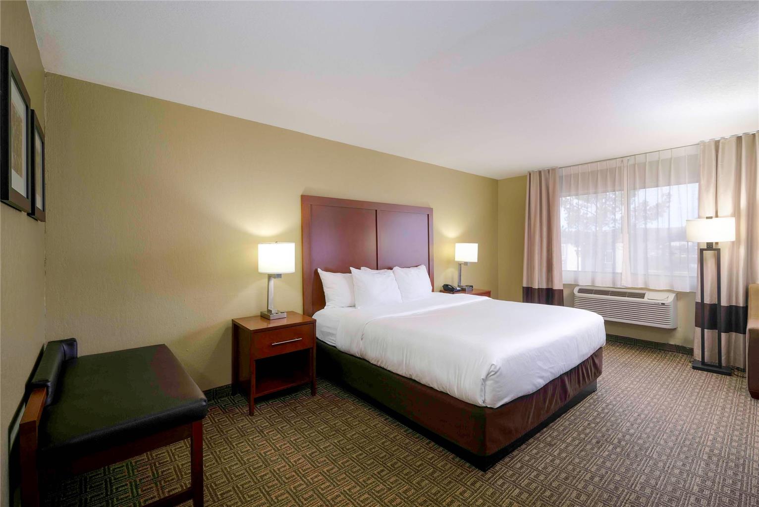 COMFORT INN NEAR GILA NATIONAL FORE-guestroom-Guest Room,On-Site.jpg