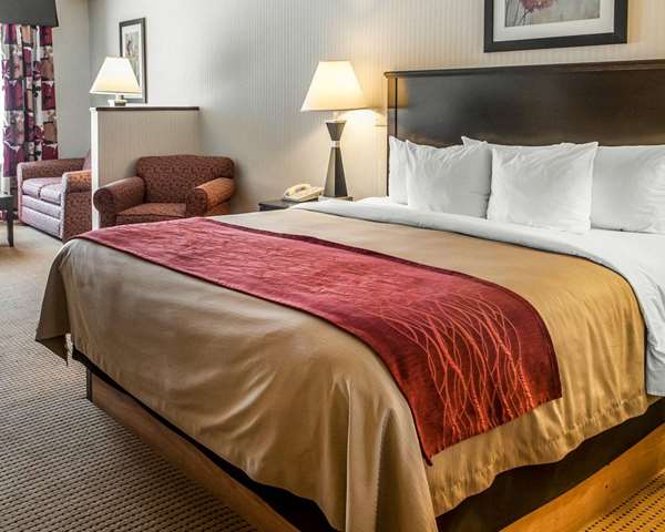 Suite - Quality Inn & Suites Farmington
