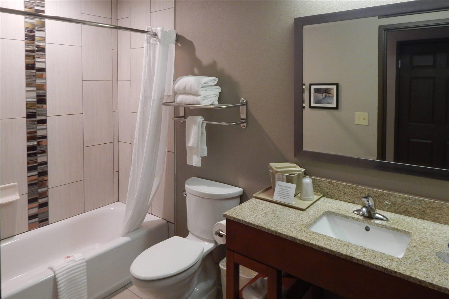 COMFORT INN AND SUITES-guestroom-Guest Room,Bathroom,On-Site.jpg