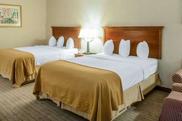  - Quality Inn & Suites Grants - I-40, Exit 85