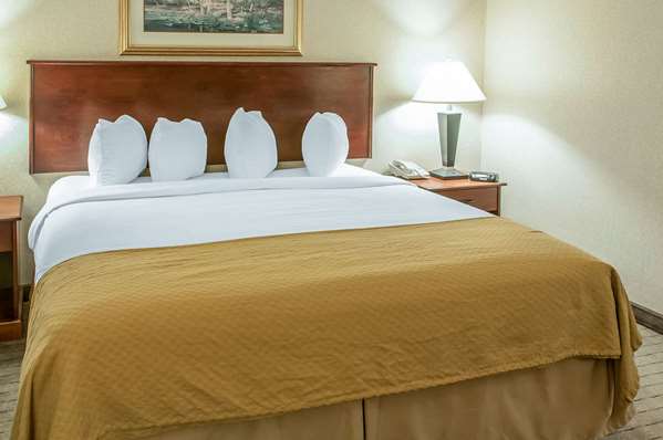 Suite - Quality Inn & Suites Grants - I-40, Exit 85