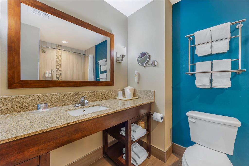 COMFORT SUITES LAS CRUCES I - 25 NO-guestroom-Guest Room,Bathroom,On-Site.jpg