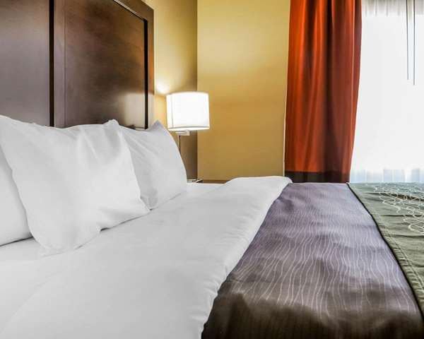 Suite - Comfort Inn & Suites Artesia