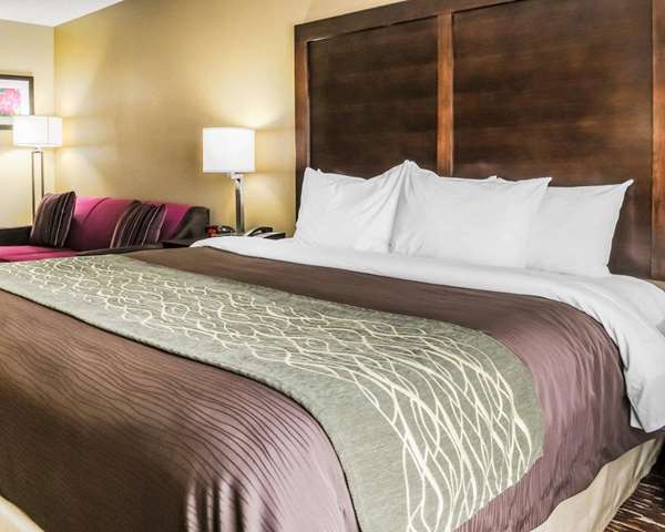  - Comfort Inn & Suites Artesia
