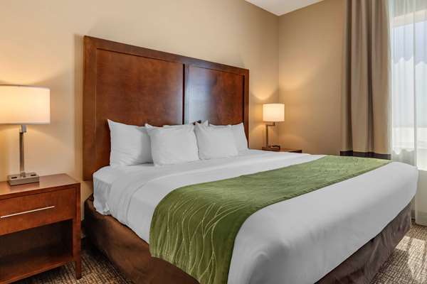  - Comfort Inn & Suites Edgewood - I-40, Exit 187