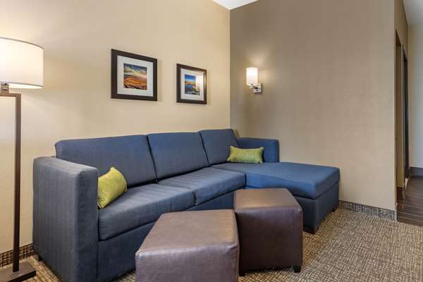 Suite - Comfort Inn & Suites Edgewood - I-40, Exit 187