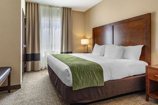 Suite - Comfort Inn & Suites Edgewood - I-40, Exit 187