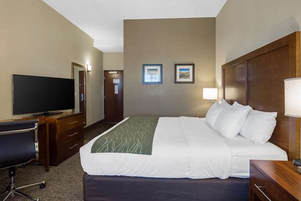  - Comfort Inn & Suites Edgewood - I-40, Exit 187