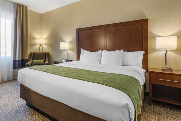  - Comfort Inn & Suites Edgewood - I-40, Exit 187