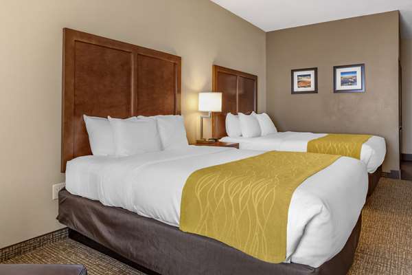  - Comfort Inn & Suites Edgewood - I-40, Exit 187