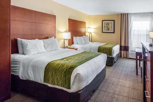 - Comfort Inn Fallon