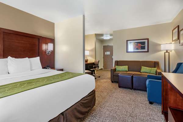 Suite - Comfort Suites Fernley - I-80, Exit 46