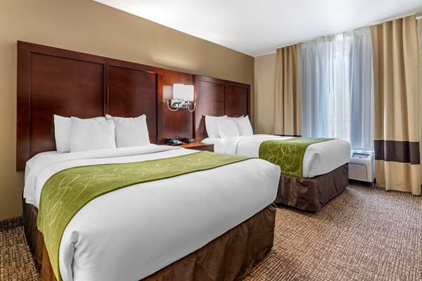 Suite - Comfort Suites Fernley - I-80, Exit 46