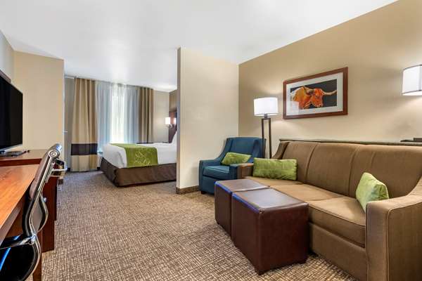 Suite - Comfort Suites Fernley - I-80, Exit 46