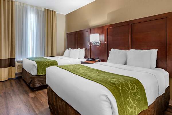 Suite - Comfort Suites Fernley - I-80, Exit 46