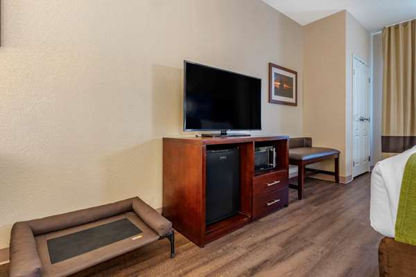 Suite - Comfort Suites Fernley - I-80, Exit 46