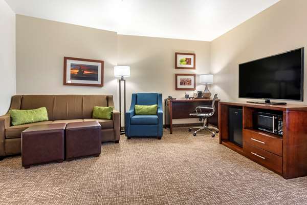 Suite - Comfort Suites Fernley - I-80, Exit 46
