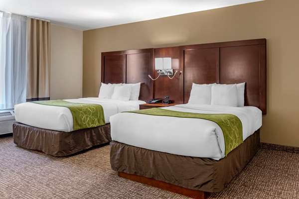 Suite - Comfort Suites Fernley - I-80, Exit 46
