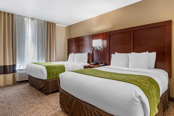 Suite - Comfort Suites Fernley - I-80, Exit 46