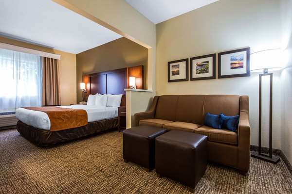  - Comfort Suites Rochester