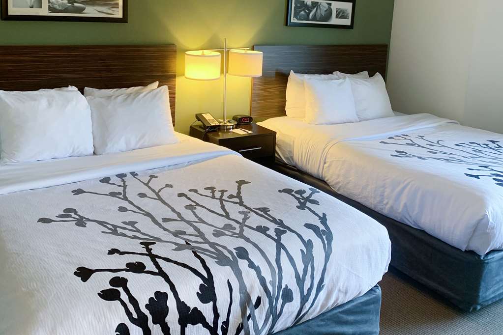 SLEEP INN AND SUITES QUEENSBURY - L-guestroom-Guest Room,On-Site.jpg