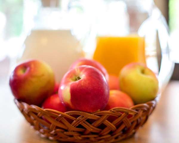 Amenities - Rodeway Inn Lake Placid