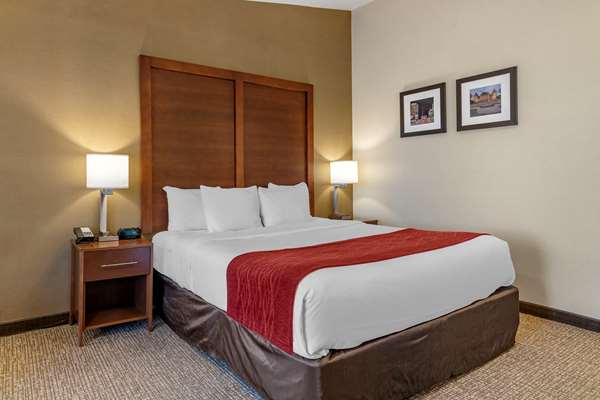 Suite - Comfort Inn Glenmont - I-87, Exit 23