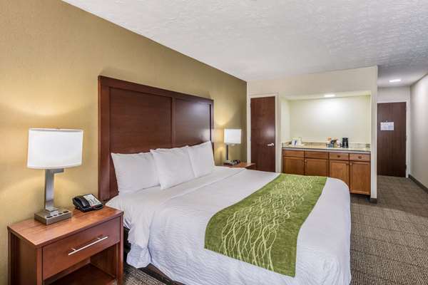  - Comfort Inn Medford - I-495, Exit 64