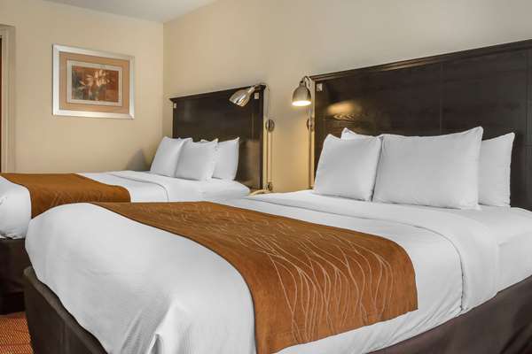  - Comfort Inn & Suites Maspeth