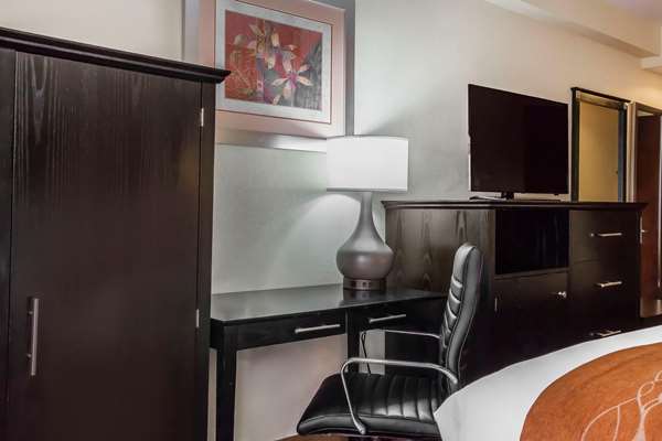  - Comfort Inn & Suites Maspeth