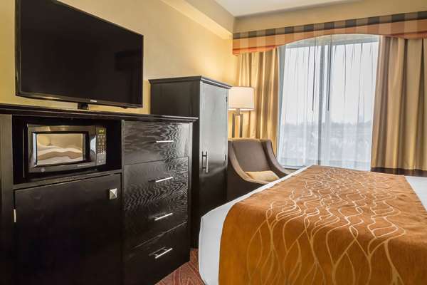  - Comfort Inn & Suites Maspeth