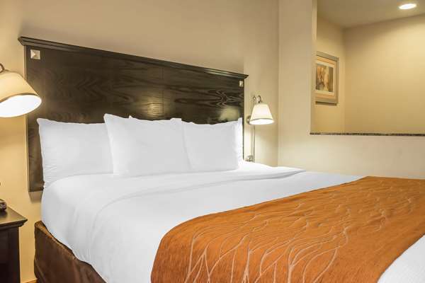  - Comfort Inn & Suites Maspeth