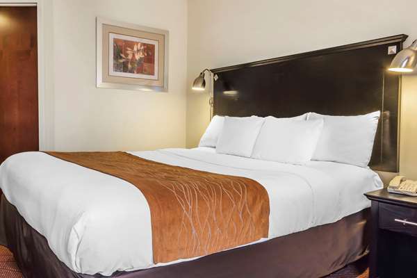  - Comfort Inn & Suites Maspeth