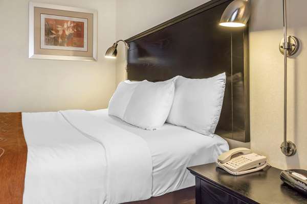 - Comfort Inn & Suites Maspeth