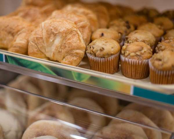 Amenities - Econo Lodge Glens Falls - I-87, Exit 19