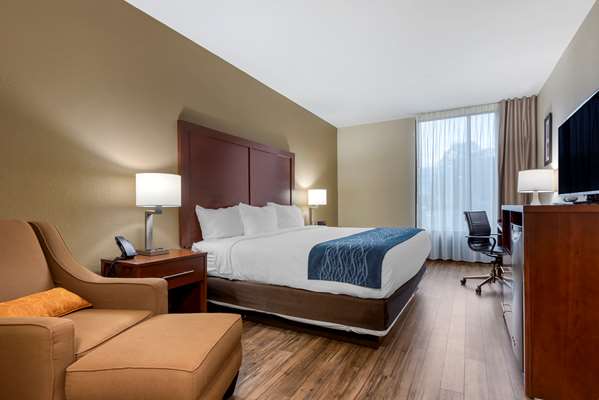  - Comfort Inn Binghamton