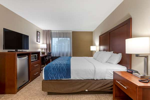  - Comfort Inn Binghamton