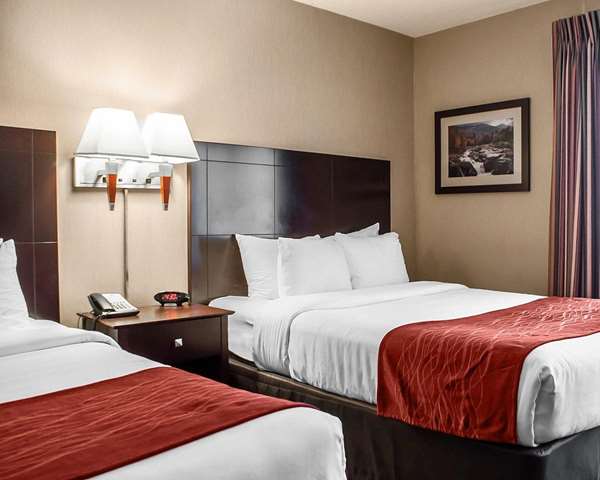 Suite - Comfort Inn & Suites Watertown - I-81, Exit 45
