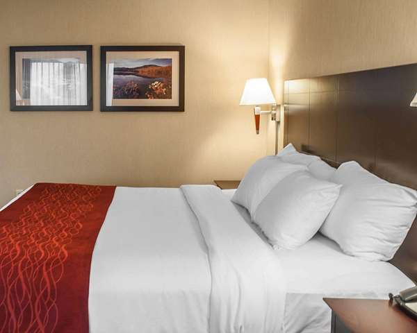 Suite - Comfort Inn & Suites Watertown - I-81, Exit 45