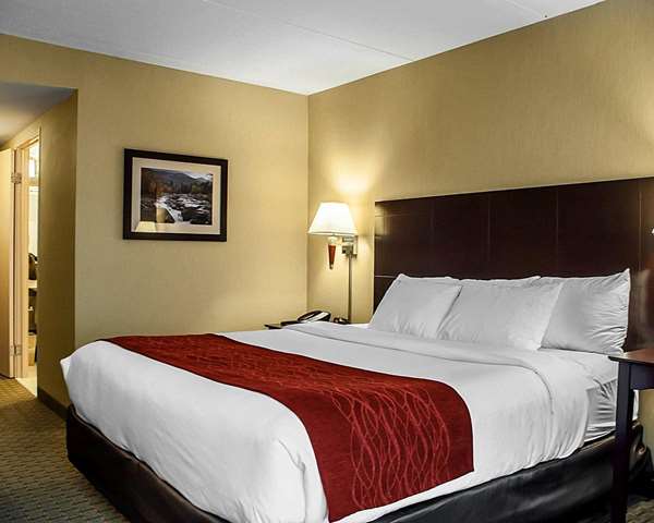  - Comfort Inn & Suites Watertown - I-81, Exit 45