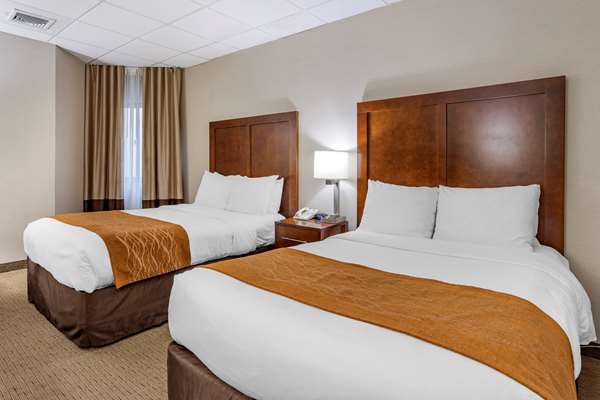 Suite - Comfort Inn Syosset