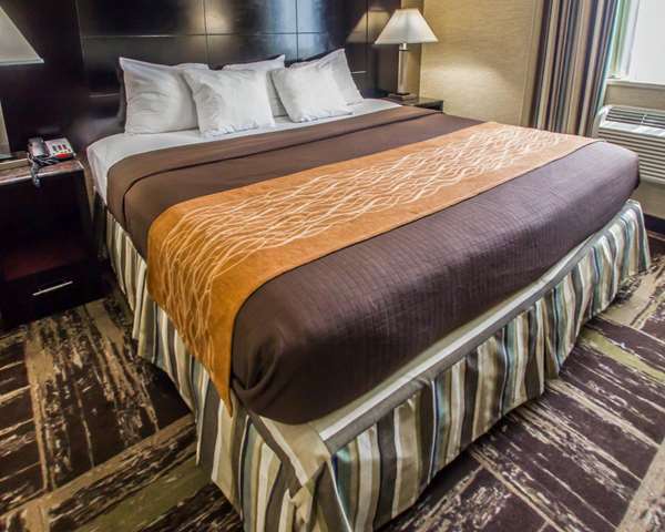  - Rodeway Inn Bronx Zoo