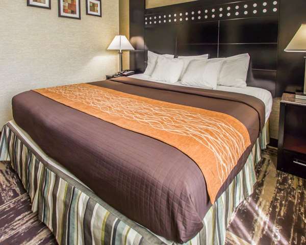  - Rodeway Inn Bronx Zoo