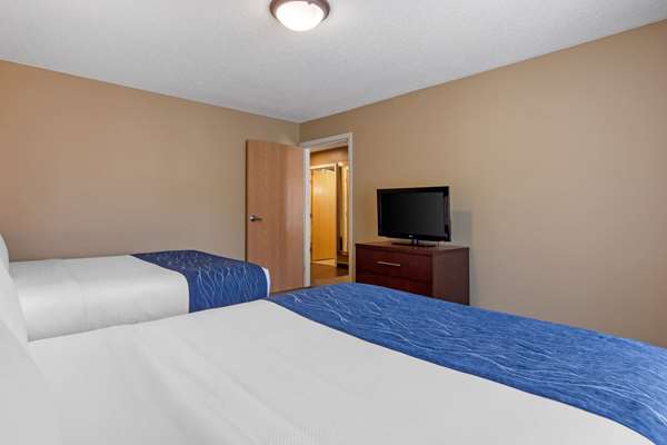Suite - Comfort Inn & Suites Milford
