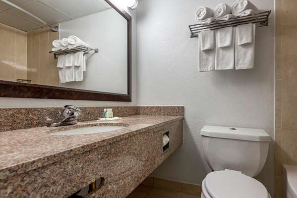  - Quality Inn & Suites Vestal