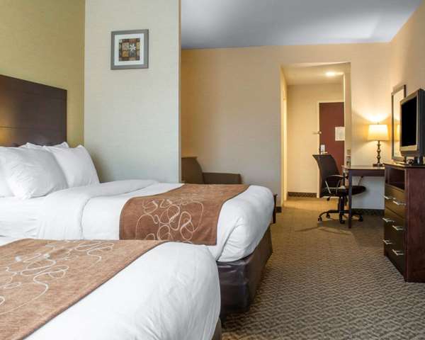 Suite - Comfort Suites Cicero - I-81, Exit 30
