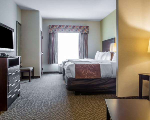 Suite - Comfort Suites Cicero - I-81, Exit 30