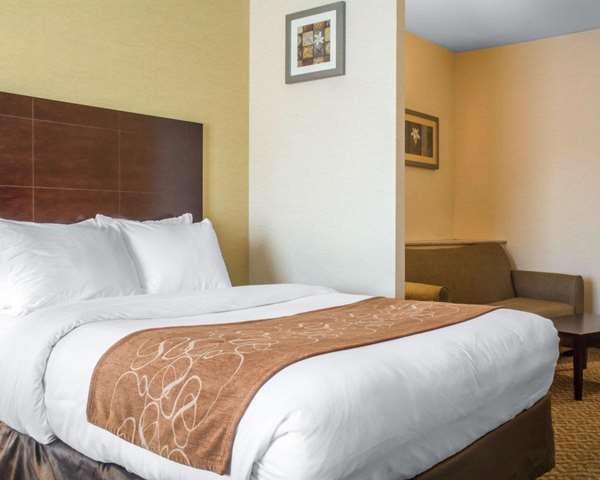 Suite - Comfort Suites Cicero - I-81, Exit 30