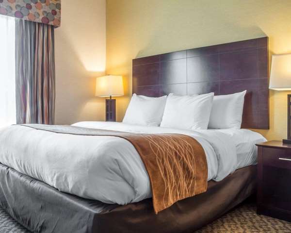Suite - Comfort Suites Cicero - I-81, Exit 30