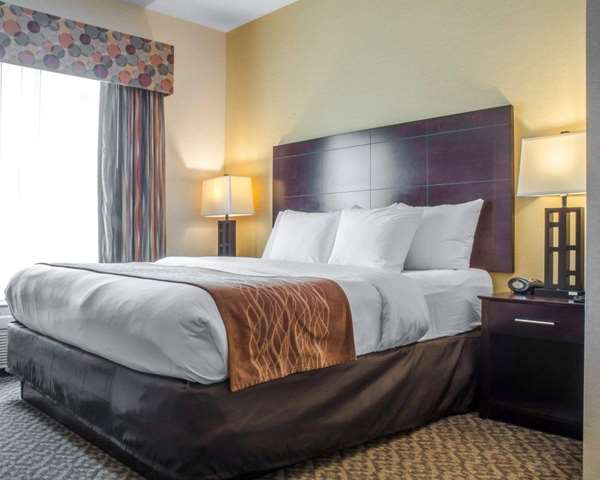 Suite - Comfort Suites Cicero - I-81, Exit 30